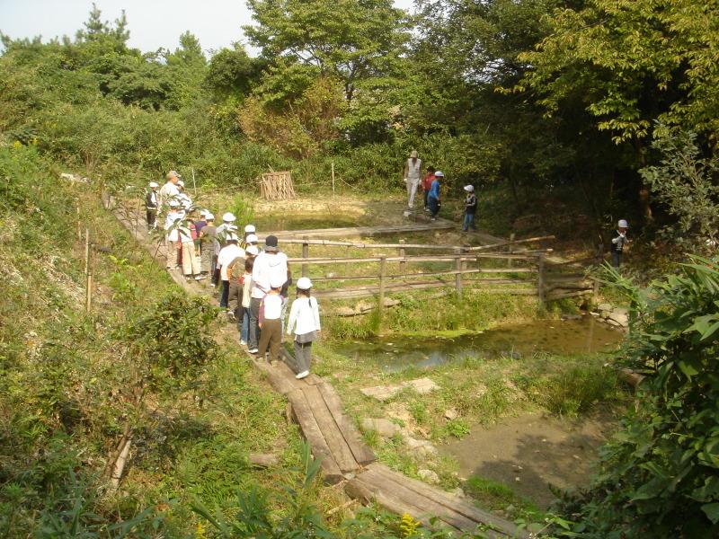 小学校遠足ダブルサポート in うみべの森_c0108460_22190227.jpg