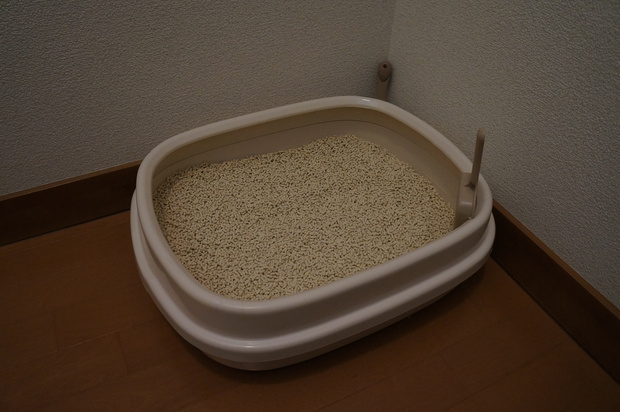 e0311172_12441550.jpg