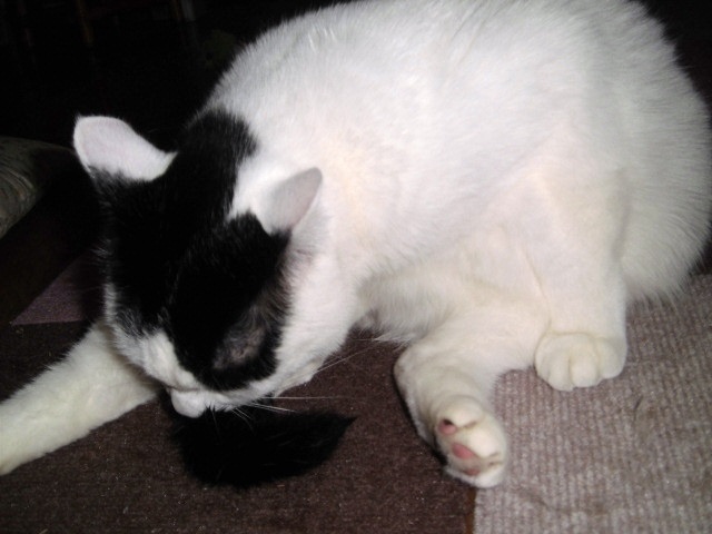 c0348792_20293612.jpg