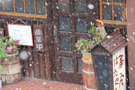 2015・２月９日　　　雪・蕗の薹の煮物・厚揚げの煮物_c0342697_22475568.jpg