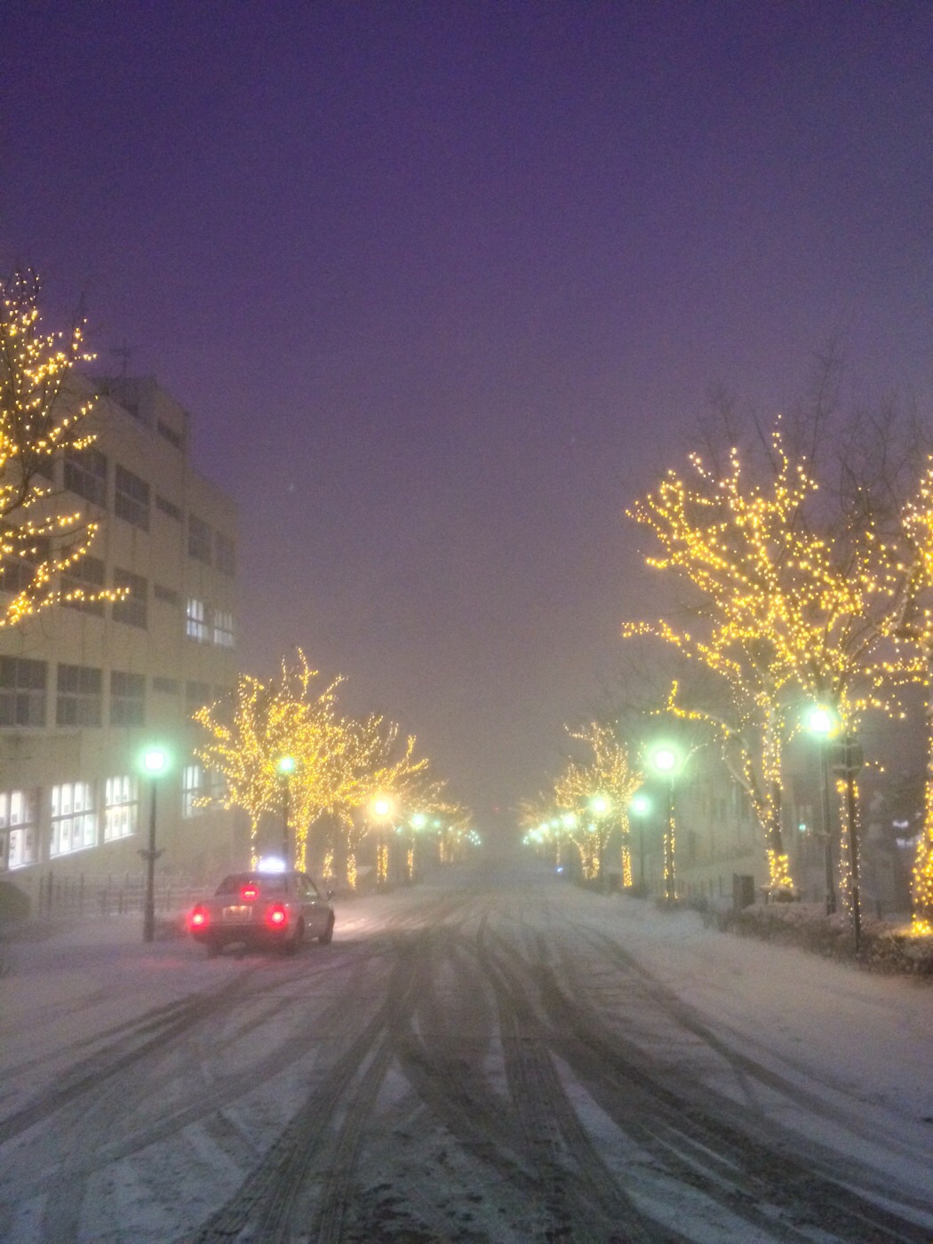 雪の八幡坂_f0137097_20251615.jpg