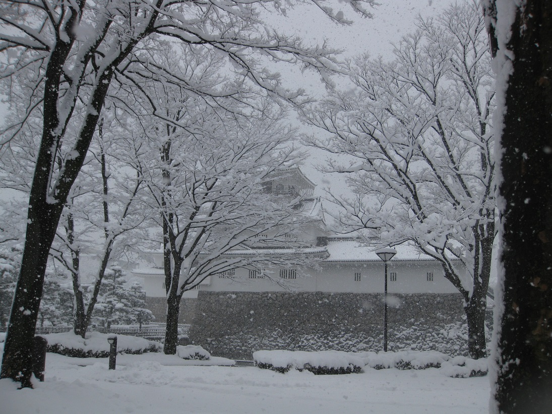 大雪の中の「富山城」_f0281398_1733651.jpg