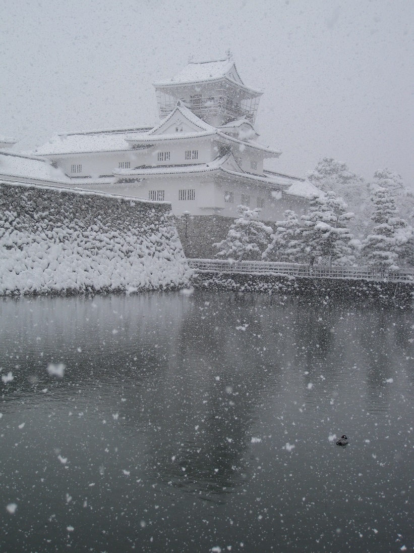 大雪の中の「富山城」_f0281398_173735.jpg