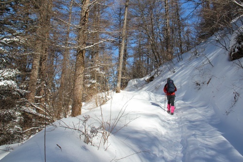 三つ峠山 2015/02/09_a0320601_19380456.jpg