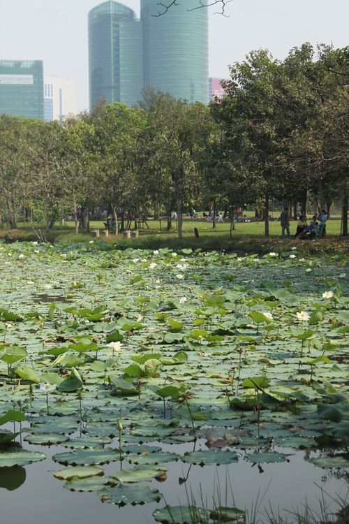 f0233916_212138.jpg