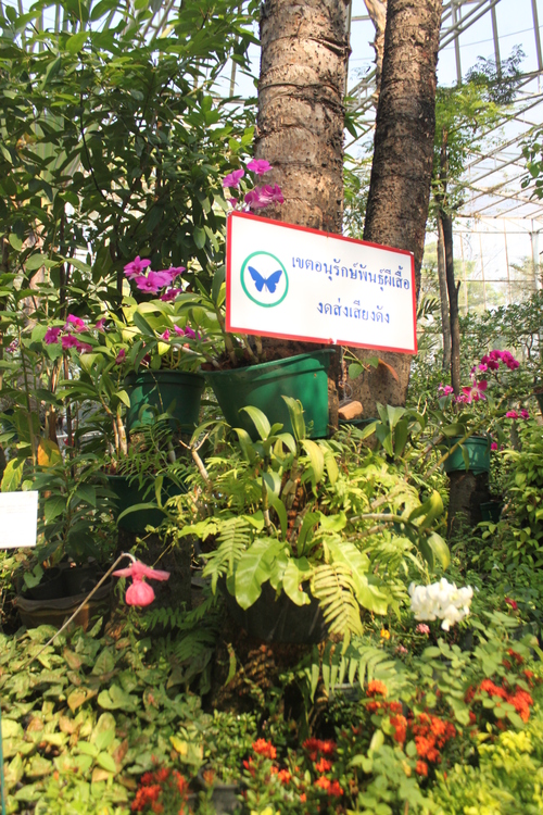 f0233916_2242033.jpg