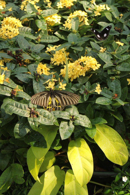 f0233916_2331013.jpg