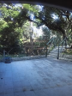 e0197817_1123838.jpg