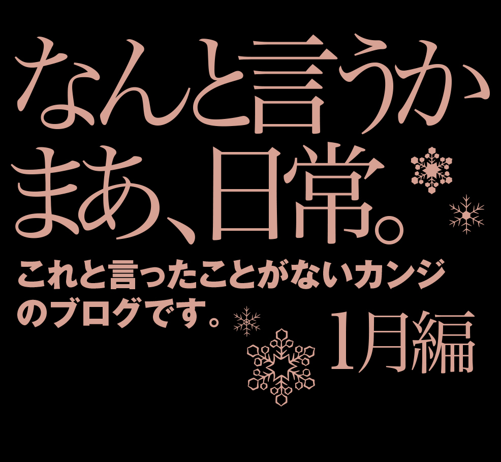 １月の日常とトラのもんフィギュア_b0344119_22563911.jpg