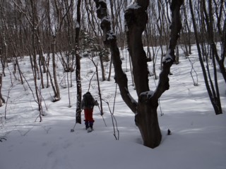 1036  芝草山山麓スノーシュー_e0266825_1619040.jpg