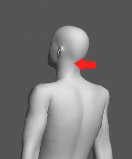 a0119931_22550462.png