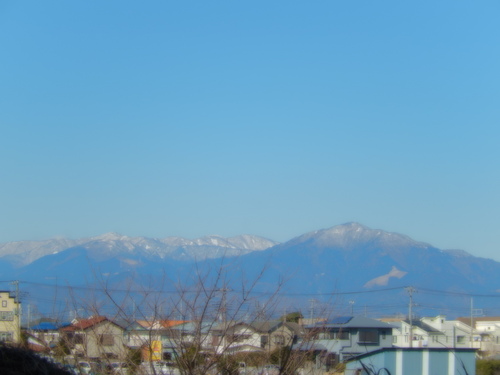 春到来?...河津桜が開花開始!_b0137932_1812115.jpg