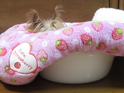 f0002833_18335460.jpg