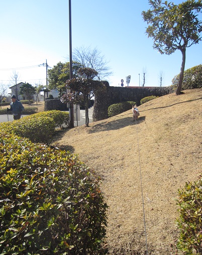 f0002833_18411789.jpg