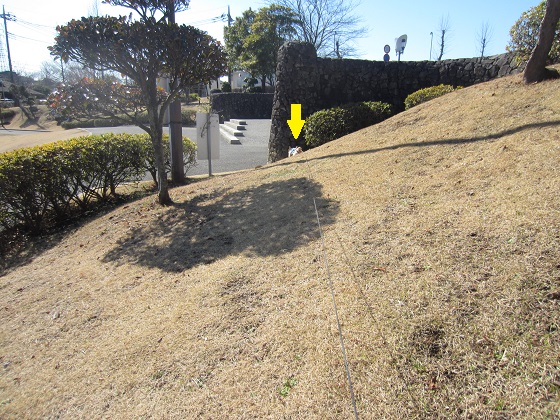 f0002833_18421220.jpg