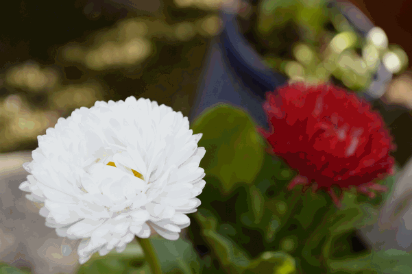 c0136736_13345792.gif