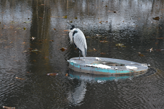 c0093046_62126.gif