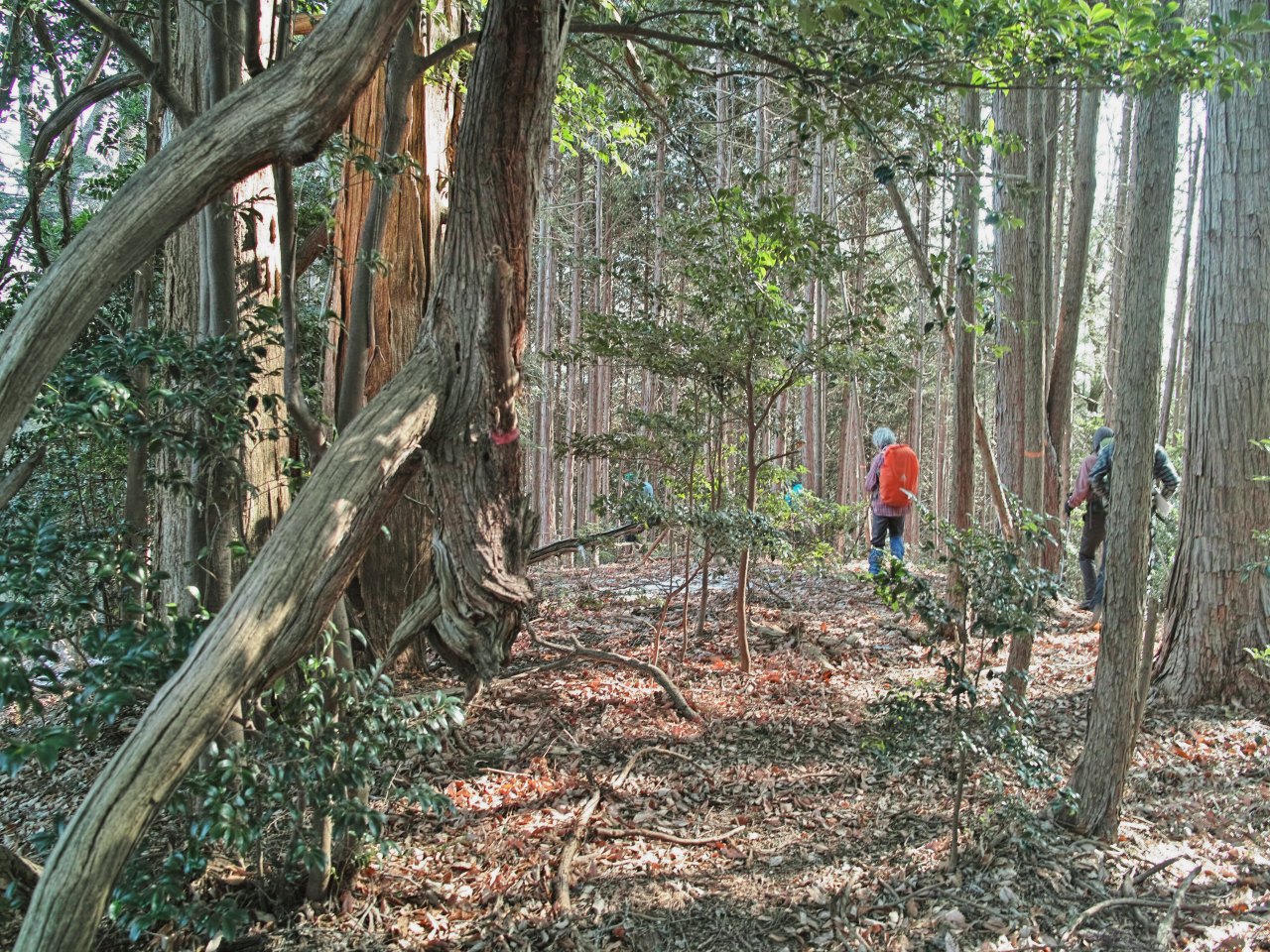 c0008948_1621327.jpg