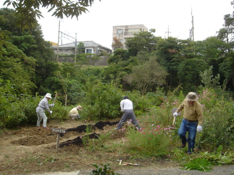 山道の階段補修　　in　　うみべの森_c0108460_02191604.jpg