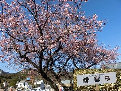 a0331562_23351.jpg