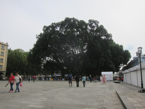 Mexico-20._c0153966_10334367.jpg