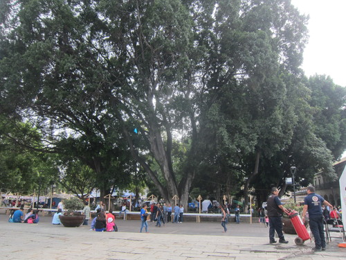 Mexico-20._c0153966_103432100.jpg