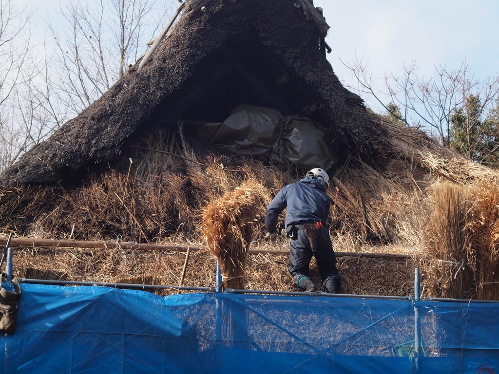 『木曽川水園の春待姿・・・・・♪』_d0054276_20271992.jpg