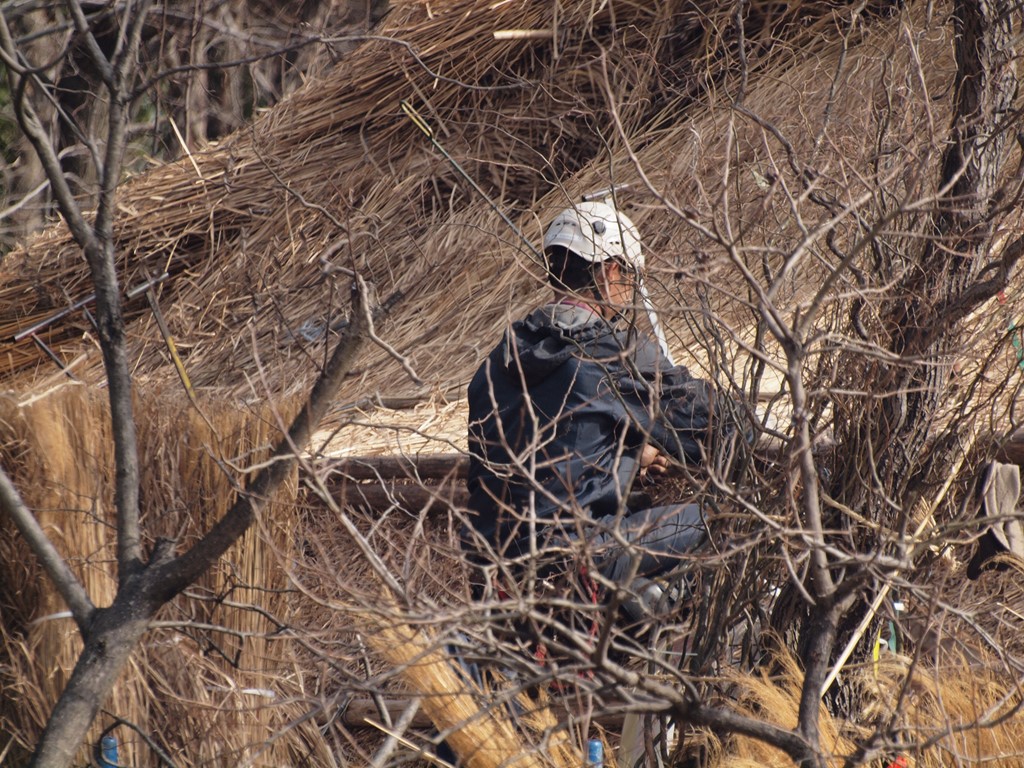 『木曽川水園の春待姿・・・・・♪』_d0054276_20275869.jpg