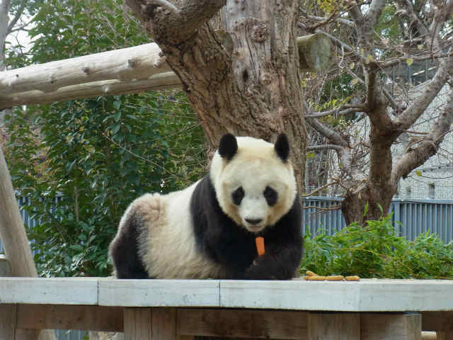 王子動物園♪_e0003090_058513.jpg