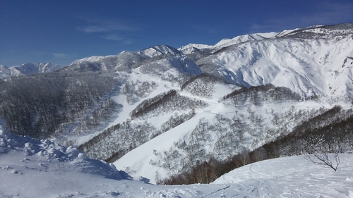 e0015490_22354875.jpg