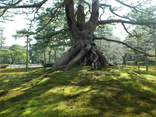 e0271890_08015097.png