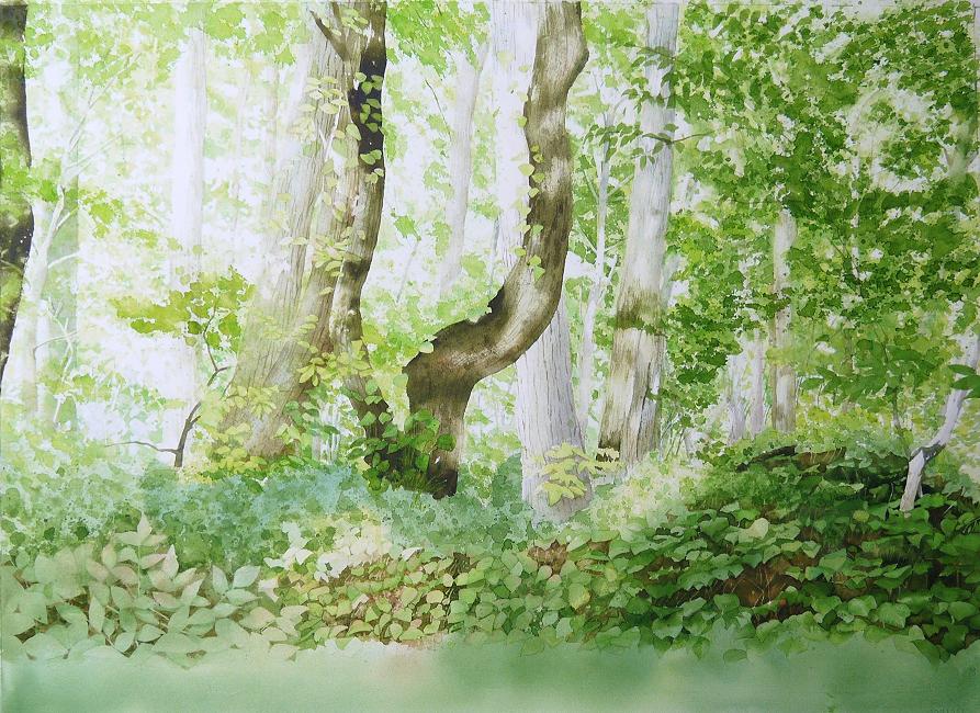 森林風景 水彩画 水彩画のシーンで緑豊かな森に囲まれた静かな池 | Premium AI生成画像