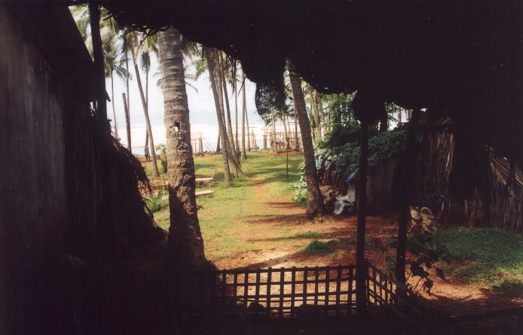e0296801_1558116.jpg