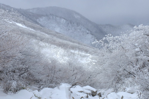e0304001_21183023.jpg