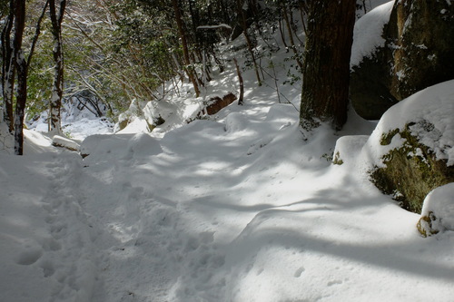 e0304001_21253234.jpg