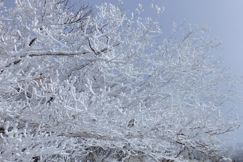 e0304001_21331293.jpg