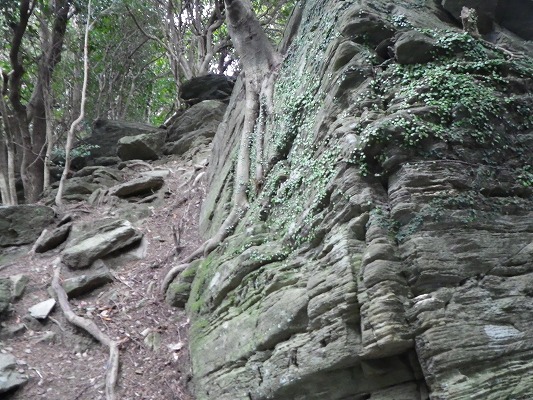 f0187402_20473773.jpg