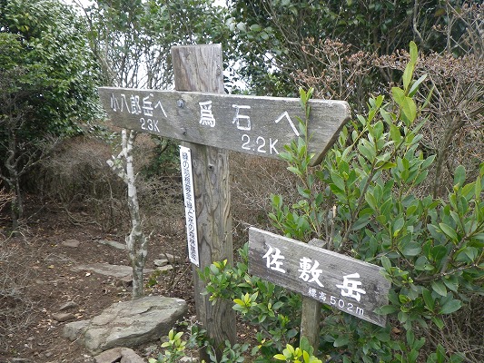 f0187402_20481577.jpg