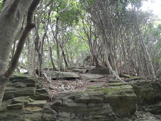 f0187402_2048297.jpg