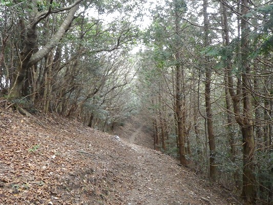 f0187402_20485389.jpg