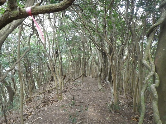 f0187402_20492566.jpg