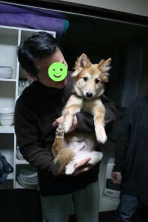 こまつ君 新生活スタート!_f0242002_19112572.jpg