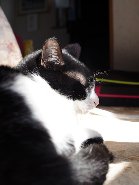 c0187503_20132268.jpg