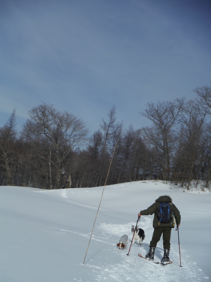 鬼怒川　雪遊び_d0130610_032236.jpg