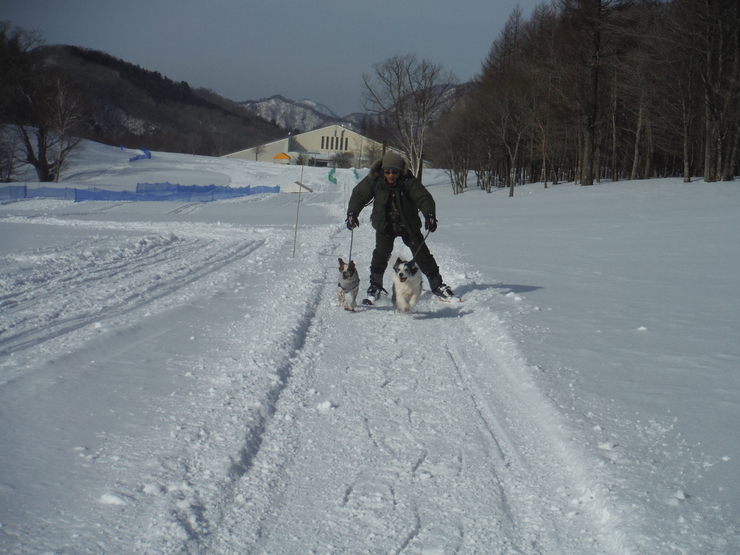 鬼怒川　雪遊び_d0130610_043675.jpg