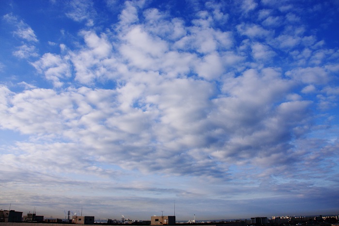 層状雲　（層積雲）_b0268615_873750.jpg