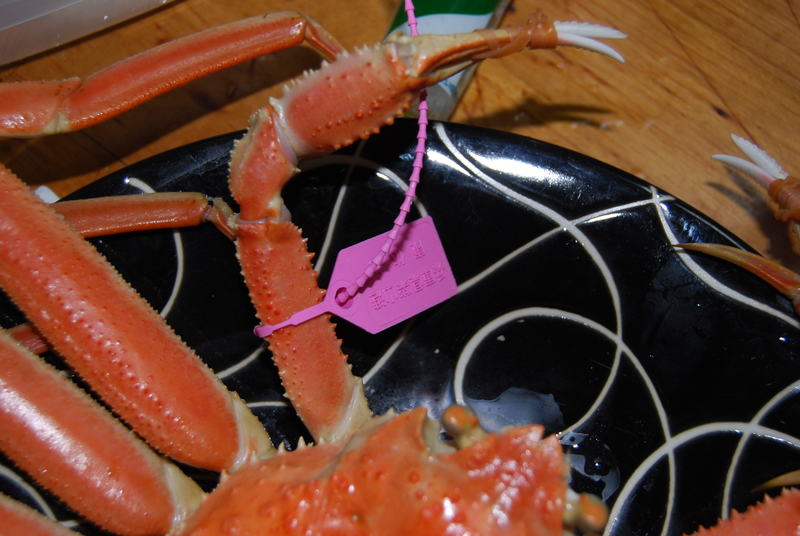 f0053218_203838.jpg