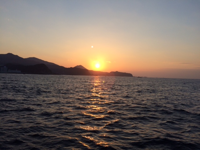 樫野_a0093423_8411114.jpg