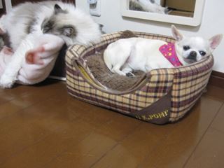 c0053625_23531130.jpg