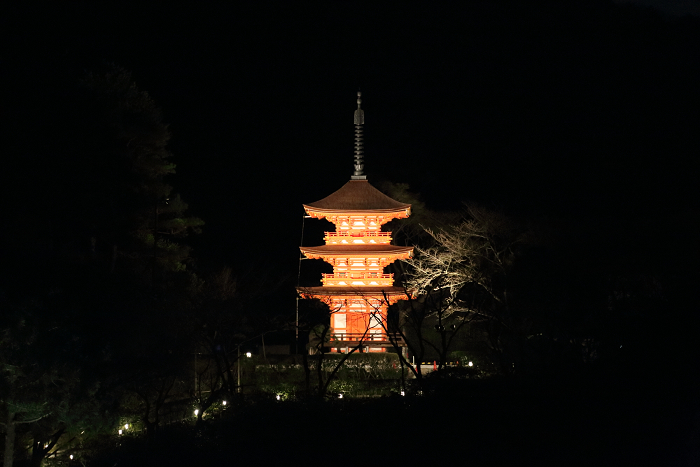 東山花灯路2013（その4）_b0169330_20315342.jpg